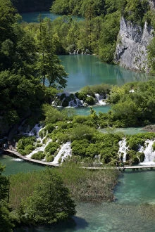 Images Dated 8th June 2010: Lake with boardwalk, Plitvice Lakes National Park, UNESCO World Heritage Site, Croatia, Europe