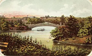 Lake and Bow Bridge in Central Park