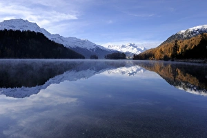 Images Dated 28th October 2011: Lake Champfer with larch forest with autumnal colouring, Mt Piz da la Margna at back, St