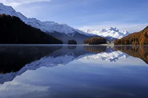 Images Dated 28th October 2011: Lake Champfer with larch forest with autumnal colouring, Mt Piz da la Margna at back, St