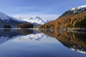 Images Dated 28th October 2011: Lake Champfer with larch forest with autumnal colouring, Mt Piz da la Margna at back, St