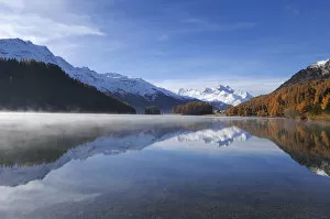 Images Dated 28th October 2011: Lake Champfer with larch forest with autumnal colouring, Mt Piz da la Margna at back, St