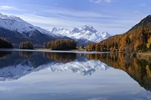 Images Dated 27th October 2011: Lake Champfer with larch forest with autumnal colouring, St. Moritz, Engadine, Grisons
