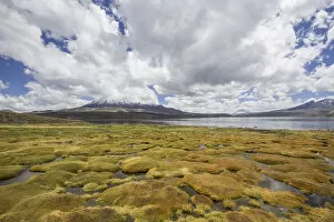 Images Dated 28th October 2012: Lake Chungara and the Parinacota volcano, Putre, Arica and Parinacota Region, Chile