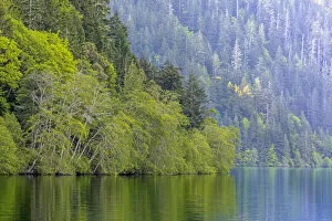 Images Dated 25th May 2017: Lake Crescent landscape, Olympic National Park, Washington State, USA