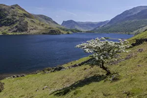 Images Dated 27th May 2012: Lake of Crummock Water, Lake District National Park, Cumbria, England, United Kingdom