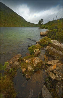 Lake Dobson in the mist, Hartz mountains national park, southern Tasmania
