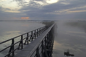 Morning Sky Gallery: Lake Federsee boardwalk, morning mood, nature reserve, Upper Swabia, Baden-Wuerttemberg, Germany
