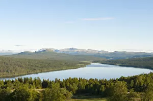 Images Dated 16th July 2012: Lake Gala, Oppland, Norway, Scandinavia, Northern Europe, Europe