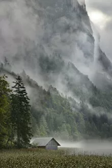 Misty Gallery: Lake Leopoldsteinersee, Eisenerz, Styria, Austria