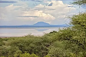 Arusha Region Prints: Lake Manyara National Park Safari, Africa