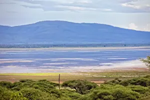 Lake Manyara National Park Safari, Africa