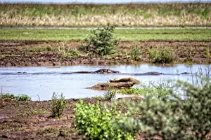 Lake Manyara National Park Safari, Africa
