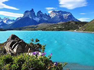 Images Dated 9th November 2011: Lake PehoA©and Los Cuernos in Torres del Paine