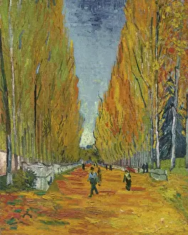 Prints of L'Allée des Alyscamps, 1888. Private Collection. Artist : Gogh, Vincent, van (1853-1890). (Photo by Fine Art Images/Heritage Images/Getty Images) Echoes of Genius: Timeless Reproductions of a Master’s Vision: L'Allée des Alyscamps, 1888