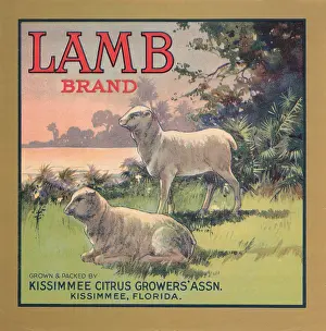 Florida Prints: Lamb Brand