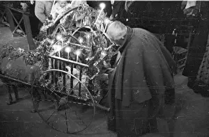 Cage Prints: The Lamb's Cart
