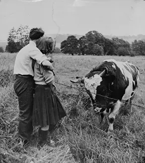 Bull Prints: Land Helpers