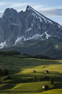 Landscape of Alpe di Siusi on summer