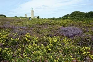 Images Dated 7th August 2014: Landscape with Bell Heather -Erica cinerea- and Common Gorse -Ulex europaeus- at Cap Frehel