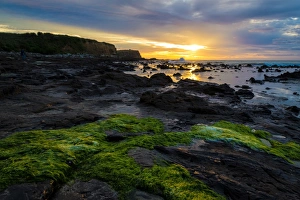 Images Dated 5th December 2012: Landscape of Curio Bay with sunrise