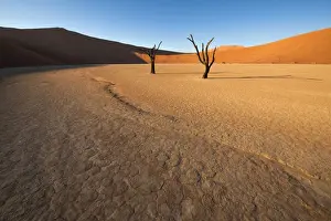 Dead Vlei Prints: Landscape of Deadvlei at sunrise, Namib-Naukluft National Park, Namibia