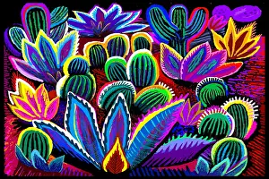 Prints of Fantasy cactus in vibrant color desert style landscape illustration with black background. Evocative of Mojave and Sonoran deserts, Mexico and Southwest United States Quirky Art Illustration Prints: Landscape Desert Garden, Saguaro and flowering cactus at Night