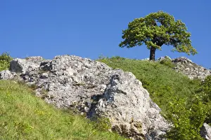 Protected Prints: Landscape in DěvAzAin-Kotel-Soutěska national sanctuary