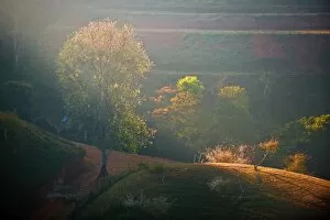 Images Dated 1st January 2012: Landscape of Doi Ang Khang, Chiangmai, Thailand