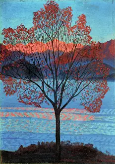 Private Collection Prints: Landscape At The First Rays Of Sun