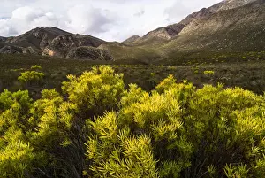 Landscape in Gamkaskloof or Die Hel Valley, Swartberg, Western Cape, South Africa