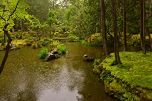 Images Dated 5th June 2015: Landscape Garden of Saihoji Temple, Kyoto