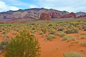 Images Dated 26th September 2017: Landscape in Gold Butte National Monument, Mesquite, Nevada, USA