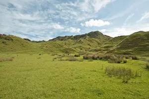Images Dated 3rd January 2013: Landscape with green hills, Coromandel, Coromandel Peninsula, North Island, New Zealand
