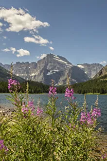 Images Dated 17th July 2017: Landscape with Grinnell Point and Swiftcurrent Lake, Glacier National Park, Montana, USA