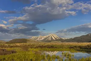 Landscape with herd of pronghorn antelope(Antilocapra americana) running and Sawtell Peak in background in Red Rocks National Wildlife Refuge, Montana, USA