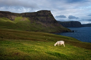 Images Dated 27th August 2015: The landscape of Isle of Skye