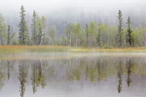 Images Dated 10th August 2016: Landscape with lake and foggy forest by Little Lost Lake, Alaska, USA