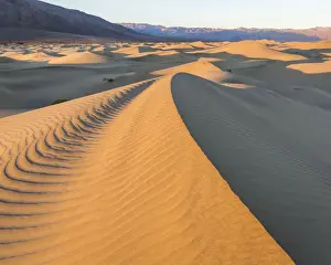 Landscape with Mesquite Dunes in Death Valley National Park, California, USA