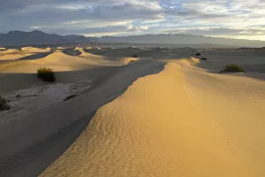 Images Dated 2nd February 2017: Landscape with Mesquite Flat Sand Dunes at sunrise, Death Valley National Park, California, USA