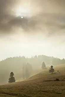Morning Fog Gallery: Landscape in the mist, Belchen, Black Forest, Baden-Wurttemberg, Germany