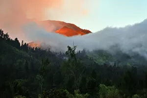 Volcano Collection: Landscape mountains foggy and forest