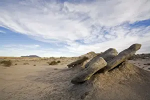 Landscape at National Park Parque Provincial Ischigualasto, Central Andes, Argentina, South America