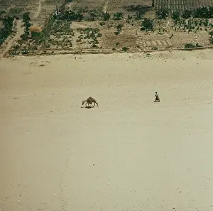 Huty25366 Prints: Landscape Near Saqqara