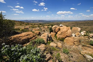 Images Dated 10th January 2016: Landscape photo taken from the top of the Magaliesberg mountain range in the North West Province