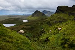 Isle Of Skye Gallery: Landscape of Quiraings trekking route, Isle of Skye