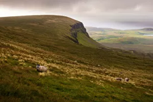 Images Dated 28th August 2015: Landscape of Quiraings trekking route, Isle of Skye