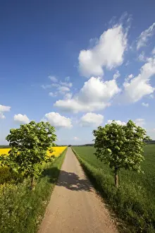 Pathway Prints: Landscape with road and cloud formations