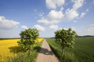 Landscape with road and cloud formations, Vulkan Eifel region, Rhineland-Palatinate Landscape with road and cloud formations, Vulkan Eifel region, Rhineland-Palatinate