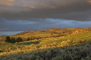 Images Dated 12th June 2011: Landscape of Sagebrush steppe in spring, Wyoming, USA